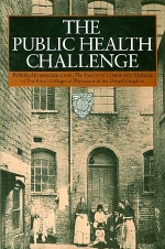 Farrow, Stephen. - The Public Health Challenge. 