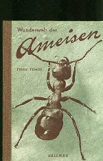 Friedli, Franz. - Wunderwelt der Ameisen. 